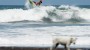 Surf Mecca, Portugal con Nic Von Rupp | Marco Giorgi: Tides, EP. 4