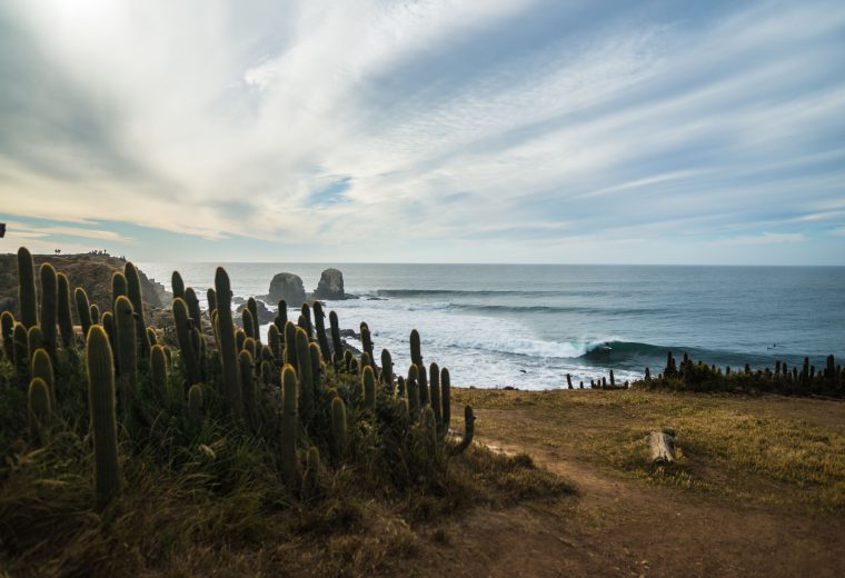 Fundación Punta de Lobos, reúne ambientalistas, surfistas y miembros de la comunidad con un mismo objetivo: preservar la naturaleza y las actividades tradicionales de la zona.